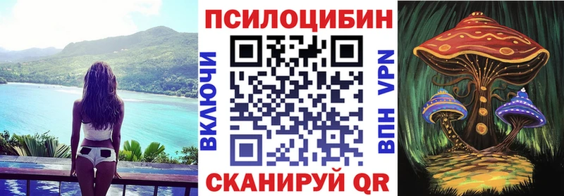 Купить где  Чебоксары  Псилоцибиновые грибы Psilocybine cubensis 